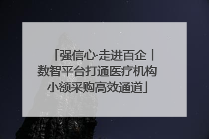 强信心·走进百企丨数智平台打通医疗机构小额采购高效通道